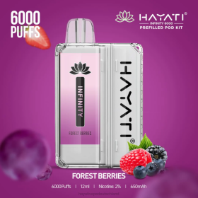 Hayati Vape Review | Waldbeeren 28X2148 Hayati Infinity 6000 Pod-Kits