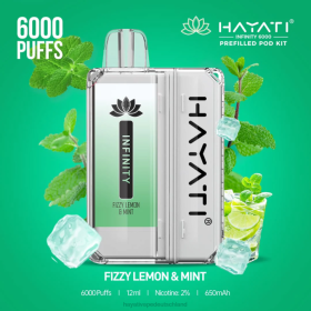 Hayati Vape Shop | prickelnde Zitrone und Minze 28X2147 Hayati Infinity 6000 Pod-Kits