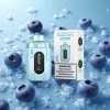 Blaubeere-Eis Razz Bar 50K Züge 50000 Züge Typ-C Aufladbar vape wholesale Deutschland