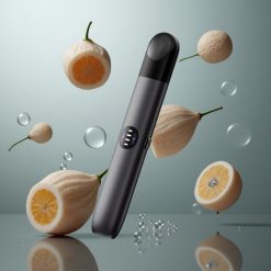 Grau RELX Infinity 2 650 Züge USB Type-C vape wholesale Deutschland
