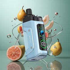 Liebe 66 Razz Bar 45000 Züge Typ-C Wiederaufladbar vape wholesale Deutschland