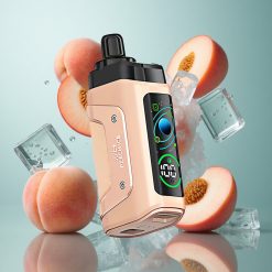 Saftiger Pfirsich Eis Razz Bar 45000 Züge Typ-C Wiederaufladbar vape wholesale Deutschland