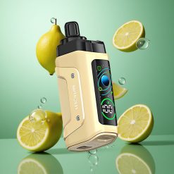 Zitrone Limette Razz Bar 45000 Züge Typ-C Aufladbar vape wholesale Deutschland
